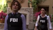F 犯罪心理：演变 第十八季 Criminal Minds：Evolution  (2025美剧)