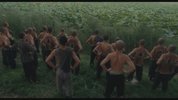 法版霸W别姬4K蓝光修复