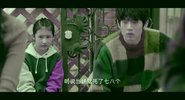 春色寄情人（2024）4K 杜比视界 全21集完结