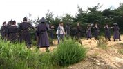 一枝梅.2008.20集.国语版.豆瓣评分8