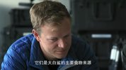 摄影师贝尔蒂与鲨鱼零距离 [2025]