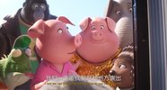 sing