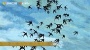 中国第三季 4K