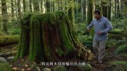 宇宙时空之旅未知世界2020全13集