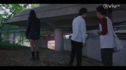 [那年盛夏 我们绽放如花][2023][全15集][国语中字][1080P高码][单集2G][33G]
