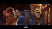 L 来自中国的熊猫 Panda Bear in Africa (2024) 动画