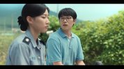 无声蛙鸣