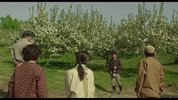 奇迹的苹果2013