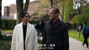 法律与秩序：组织犯罪