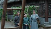 S-岁岁青莲