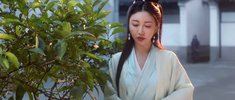 M-迷雾刺杀 4K60FPS&4KTV高码