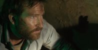 【末日昆虫恐怖片】极速求生【2025】HD1080P [中英字幕]