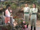神雕侠侣][刘德华 陈玉莲]50集【        1983   电视剧