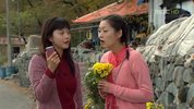 梦幻情侣.2006.16集.国语版.豆瓣评分8