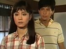 烟雨濛濛【      1986     电视剧