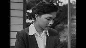 二十四只眼睛1954
