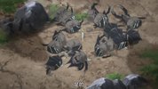 转生成为魔剑了