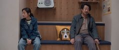 我会好好的 (2025)