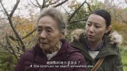 又见奈良 2020 国语中字 4K-2160P 17G-MP4