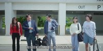 爱在独木桥