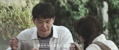 l-楝-树-H-开