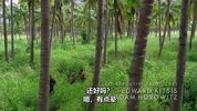 迷失1-6季