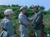 红色电影合集100部