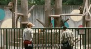 祈祷落幕时2018