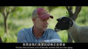 【纪录片】最大的小小农场.2018＋2022.1080P