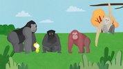 《这是什么》白泽100集科普动画（完结）