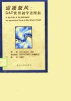 迎接旋风SAP世界初学者指南_10782935_（美...