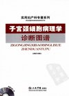 子宫颈细胞病理学诊断图谱_12018484
