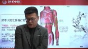 千金舌诊医学系统班学习课程