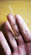 飞牌教程，从零学习飞牌技巧，圆你童年飞牌梦