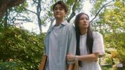 [流金岁月][2020][全集][国剧]