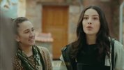 大使的女儿