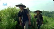 电影《那人那山那狗》