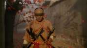 方世玉系列 (李连杰) [4K蓝光原盘珍藏版][国粤双语]