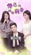 12-傅总的隐婚前妻（103集）
